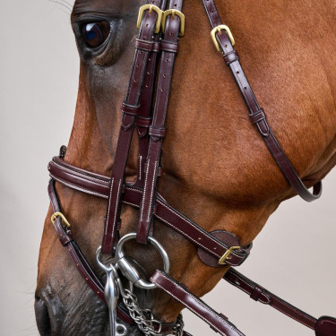 Brida Muserola Combinada D Collection by Dy'on Marrón