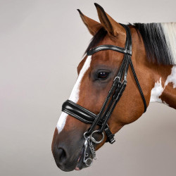 Brida Muserola Ancha Mate Working By Dy'on Negro