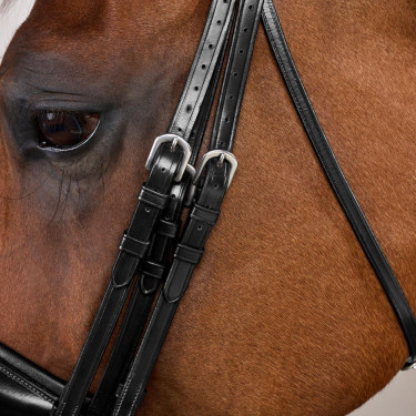 Brida Muserola Ancha Mate Working By Dy'on Negro