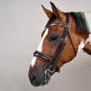 Brida Muserola Ancha Mate Working By Dy'on Marrón Brida Muserola Ancha Mate Working By Dy'on Marrón