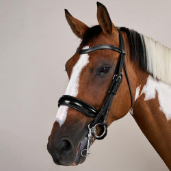 Cabezada Muserola Ancha Brillante Working By Dy'on Negro Cabezada Muserola Ancha Brillante Working By Dy'on Negro