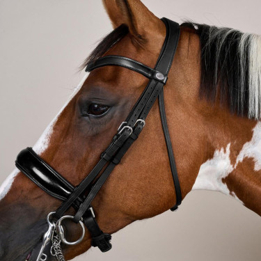 Cabezada Muserola Ancha Brillante Working By Dy'on Negro Cabezada Muserola Ancha Brillante Working By Dy'on Negro