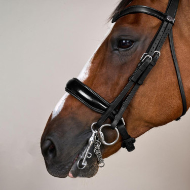 Cabezada Muserola Ancha Brillante Working By Dy'on Negro Cabezada Muserola Ancha Brillante Working By Dy'on Negro