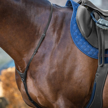 Yugo New English Collection de Dy'on Negro