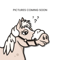 Martingala con anillas Colección US de Dy'on Negro