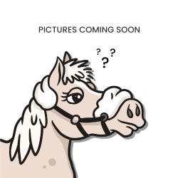 Martingala con anillas Colección US de Dy'on Negro