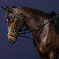 Enrénamiento Howlett Working By Dy'on Negro