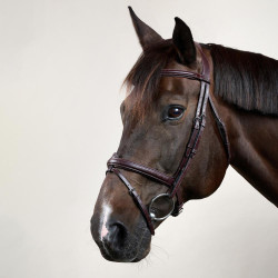 Brida Muserola Combinada Dy'on Colección New English Castaño Marrón Brida Muserola Combinada Dy'on Colección New English Castaño Marrón