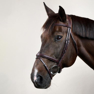 Brida Muserola Combinada Dy'on Colección New English Castaño Marrón Brida Muserola Combinada Dy'on Colección New English Castaño Marrón