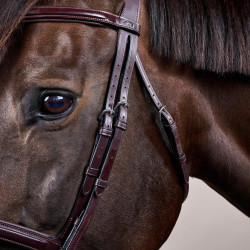 Brida Muserola Combinada Dy'on Colección New English Castaño Marrón Brida Muserola Combinada Dy'on Colección New English Castaño Marrón