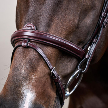 Brida Muserola Combinada Dy'on Colección New English Castaño Marrón Brida Muserola Combinada Dy'on Colección New English Castaño Marrón