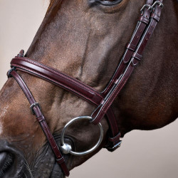 Brida Muserola Combinada Dy'on Colección New English Castaño Marrón Brida Muserola Combinada Dy'on Colección New English Castaño Marrón