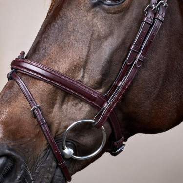 Brida Muserola Combinada Dy'on Colección New English Castaño Marrón Brida Muserola Combinada Dy'on Colección New English Castaño Marrón