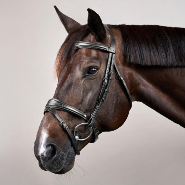 Brida Muserola Combinada Anatómica Dy'on New English Collection Negro