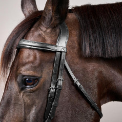 Brida Muserola Combinada Anatómica Dy'on New English Collection Negro