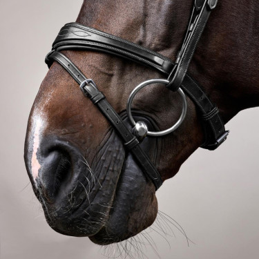 Brida Muserola Combinada Anatómica Dy'on New English Collection Negro