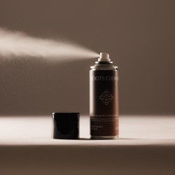 Limpiabotas Kentucky