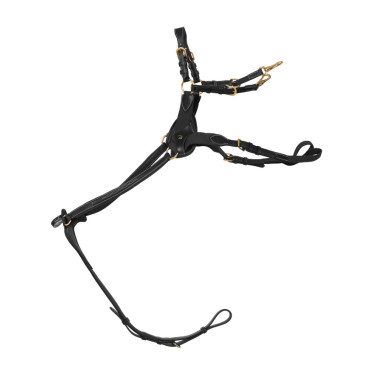 Pechopetral de 5 puntos con elásticos D Collection Dy'on Negro