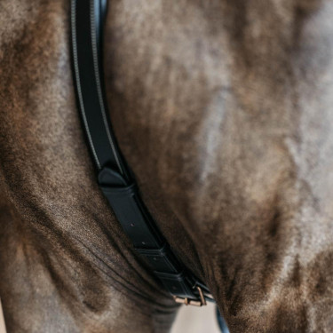 Pechopetral de 5 puntos con elásticos D Collection Dy'on Negro