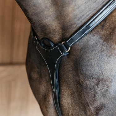 Pechopetral de 5 puntos con elásticos D Collection Dy'on Negro