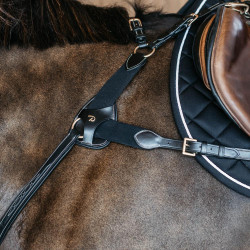 Pechopetral de 5 puntos con elásticos D Collection Dy'on Negro