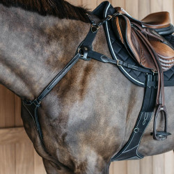 Pechopetral de 5 puntos con elásticos D Collection Dy'on Negro