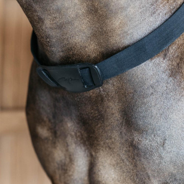 Pechopetral elástico New English Collection Dy'on Negro