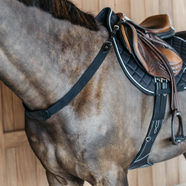 Pechopetral elástico New English Collection Dy'on Negro