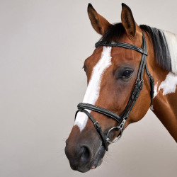 Brida Muserola Combinada con Montantes con Mosquetones Working by Dy'on Negro