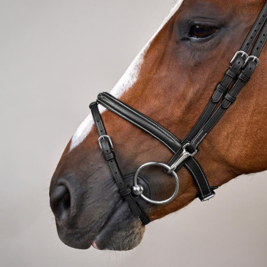 Brida Muserola Combinada con Montantes con Mosquetones Working by Dy'on Negro