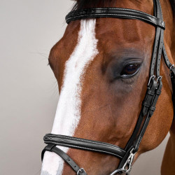 Brida Muserola Combinada con Montantes con Mosquetones Working by Dy'on Negro