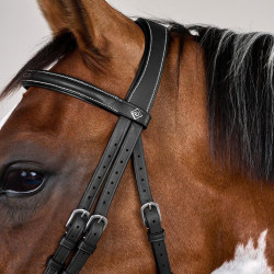 Brida Muserola Combinada con Montantes con Mosquetones Working by Dy'on Negro