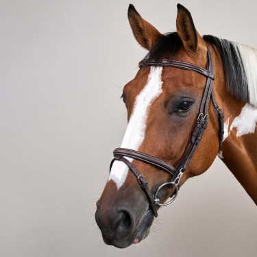 Brida Muserola Combinada con Montantes con Mosquetones Working by Dy'on Castaño Marrón