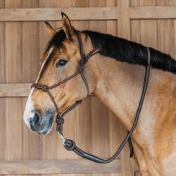 Cabezada etológica Dy'on Castaño Marrón Cabezada etológica Dy'on Castaño Marrón