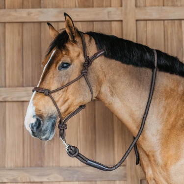 Cabezada etológica Dy'on Castaño Marrón Cabezada etológica Dy'on Castaño Marrón