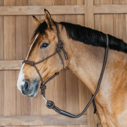 Longe Dy'on con mosquetón Castaño Marrón Longe Dy'on con mosquetón Castaño Marrón