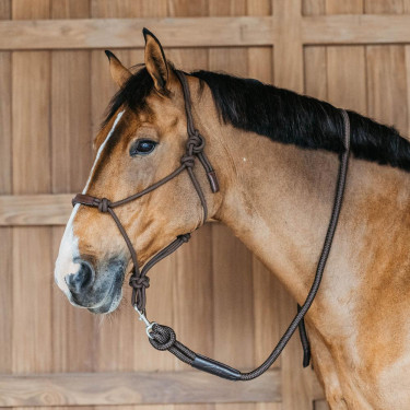 Longe Dy'on con mosquetón Castaño Marrón Longe Dy'on con mosquetón Castaño Marrón