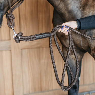 Línea de entrenamiento Dy'on con mosquetón Castaño Marrón