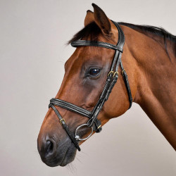 Brida Dy'on colección D muserola combinada trenzada Negro Brida Dy'on colección D muserola combinada trenzada Negro