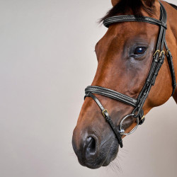 Brida Dy'on colección D muserola combinada trenzada Negro Brida Dy'on colección D muserola combinada trenzada Negro