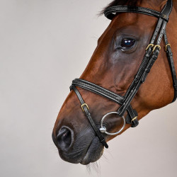 Brida Dy'on colección D muserola combinada trenzada Negro Brida Dy'on colección D muserola combinada trenzada Negro