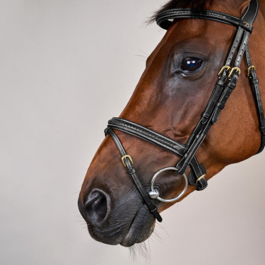 Brida Dy'on colección D muserola combinada trenzada Negro Brida Dy'on colección D muserola combinada trenzada Negro