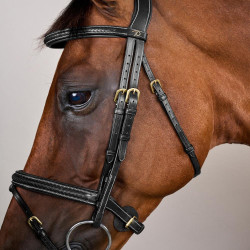 Brida Dy'on colección D muserola combinada trenzada Negro Brida Dy'on colección D muserola combinada trenzada Negro