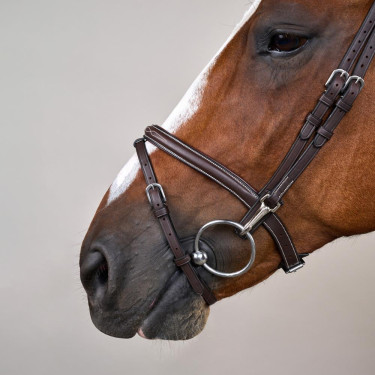 Bridon Working by Dy'on muserola combinada con mosquetones Castaño Marrón
