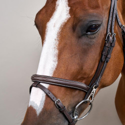 Bridon Working by Dy'on muserola combinada con mosquetones Castaño Marrón