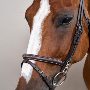 Bridon Working by Dy'on muserola combinada con mosquetones Castaño Marrón