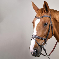 Brida Working by Dy'on con libertad de movimiento Castaño Marrón Brida Working by Dy'on con libertad de movimiento Castaño Marrón