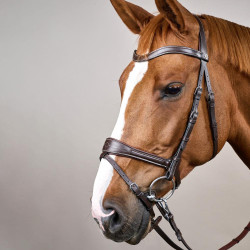 Brida Working by Dy'on con libertad de movimiento Castaño Marrón Brida Working by Dy'on con libertad de movimiento Castaño Marrón