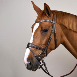 Brida Working by Dy'on con libertad de movimiento Castaño Marrón Brida Working by Dy'on con libertad de movimiento Castaño Marrón