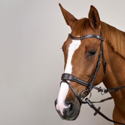 Brida Working by Dy'on con libertad de movimiento Castaño Marrón Brida Working by Dy'on con libertad de movimiento Castaño Marrón